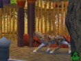 /album/fotogaleria/zoo-tycoon-2-endangered-species-20051109035441778-000-jpg/